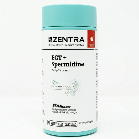 EGT + Spermidine