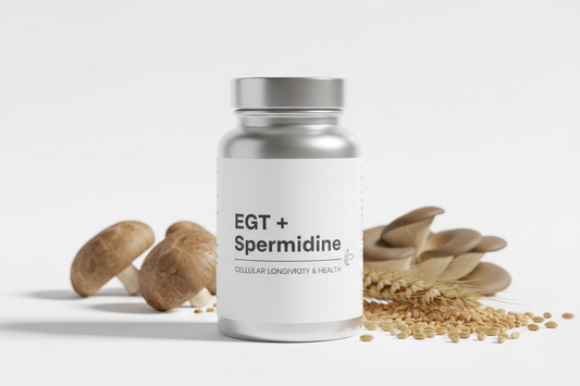 Zentra EGT + Spermidine